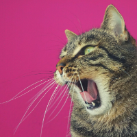 別居の生活費　婚姻費用を払わない！モラハラ夫の対応　驚きました