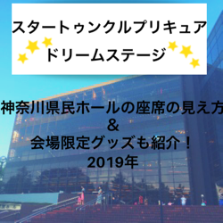 スタートゥインクルプリキュア・ドリームステージ　神奈川県民ホール