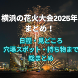 横浜の花火大会2025年まとめ